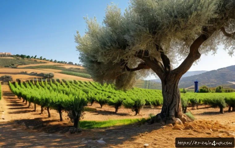 의도적 공동체의 사회적 기업 운영 사례 - A vibrant rural cooperative farm scene in Andalusia, Spain, showcasing diverse community members act...